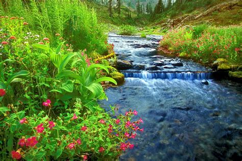 Stream nice .